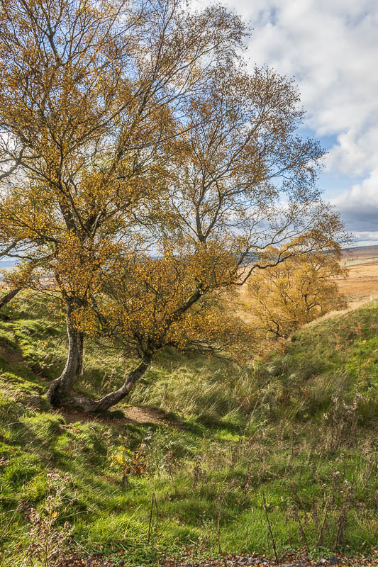 Sundaysight Cleugh Sundaysight Cleugh